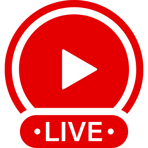 Dildo Bicycle | Live Webcam Shows & Interactive Adult Entertainment